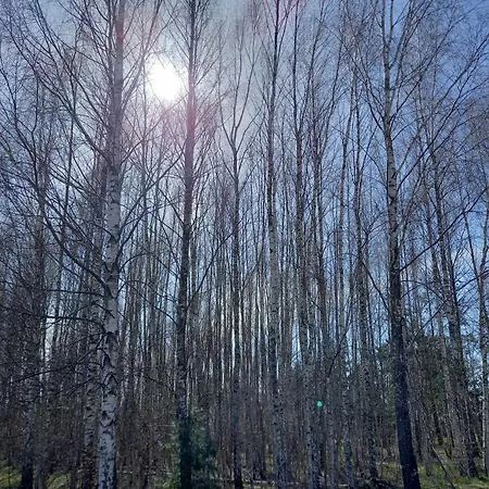 Lesny Domek Białowieża Exteriér fotografie