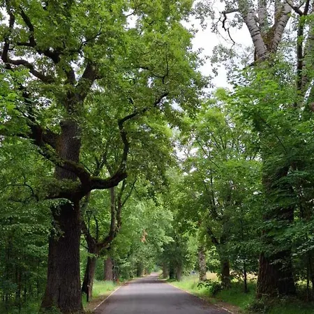 Lesny Domek Białowieża Exteriér fotografie