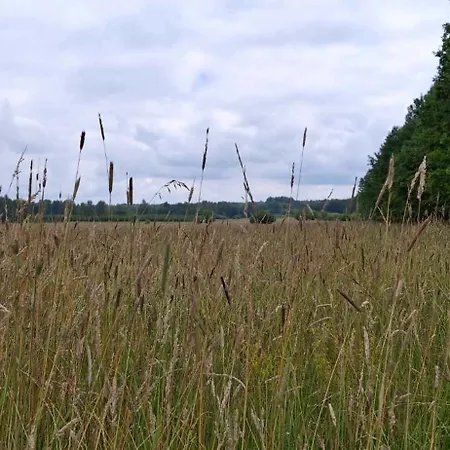 Lesny Domek Białowieża Exteriér fotografie
