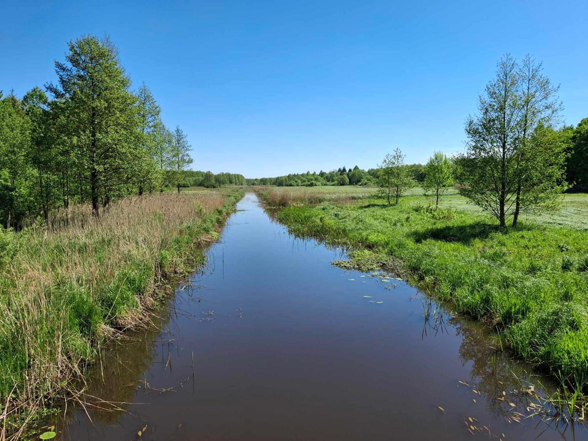 Holiday home Lesny Bialowieza